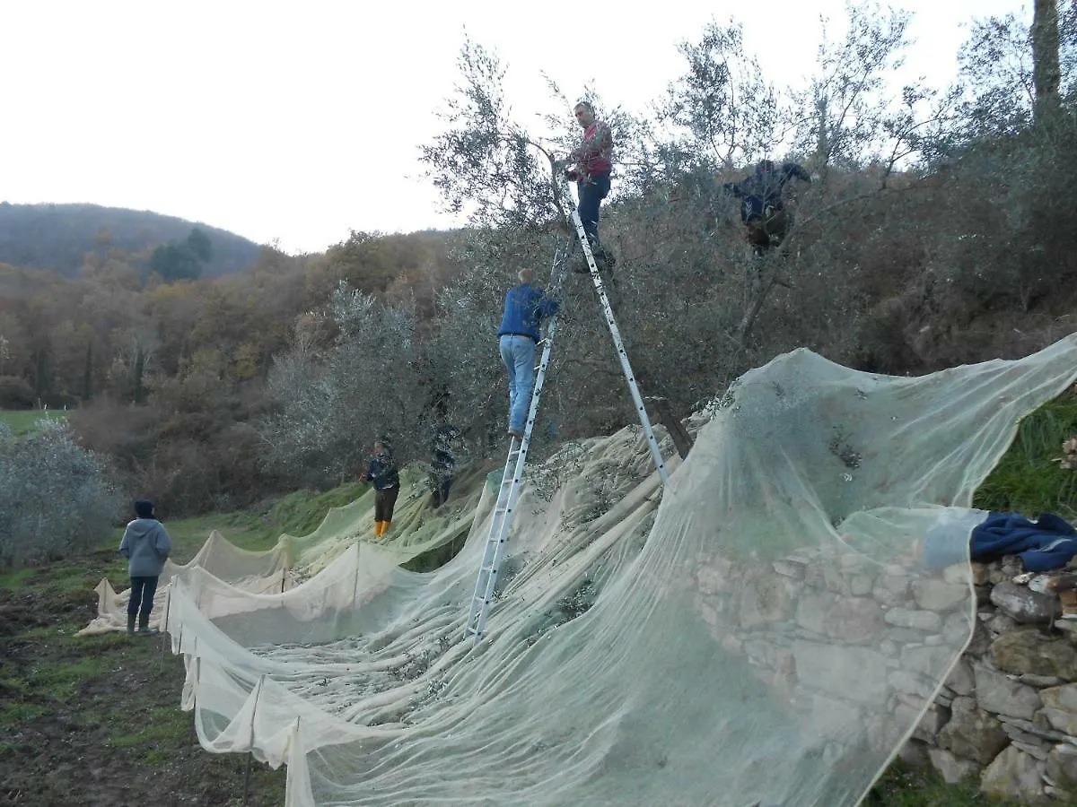 Semesterbostad Casa Fantone Villa Poppi Italien
