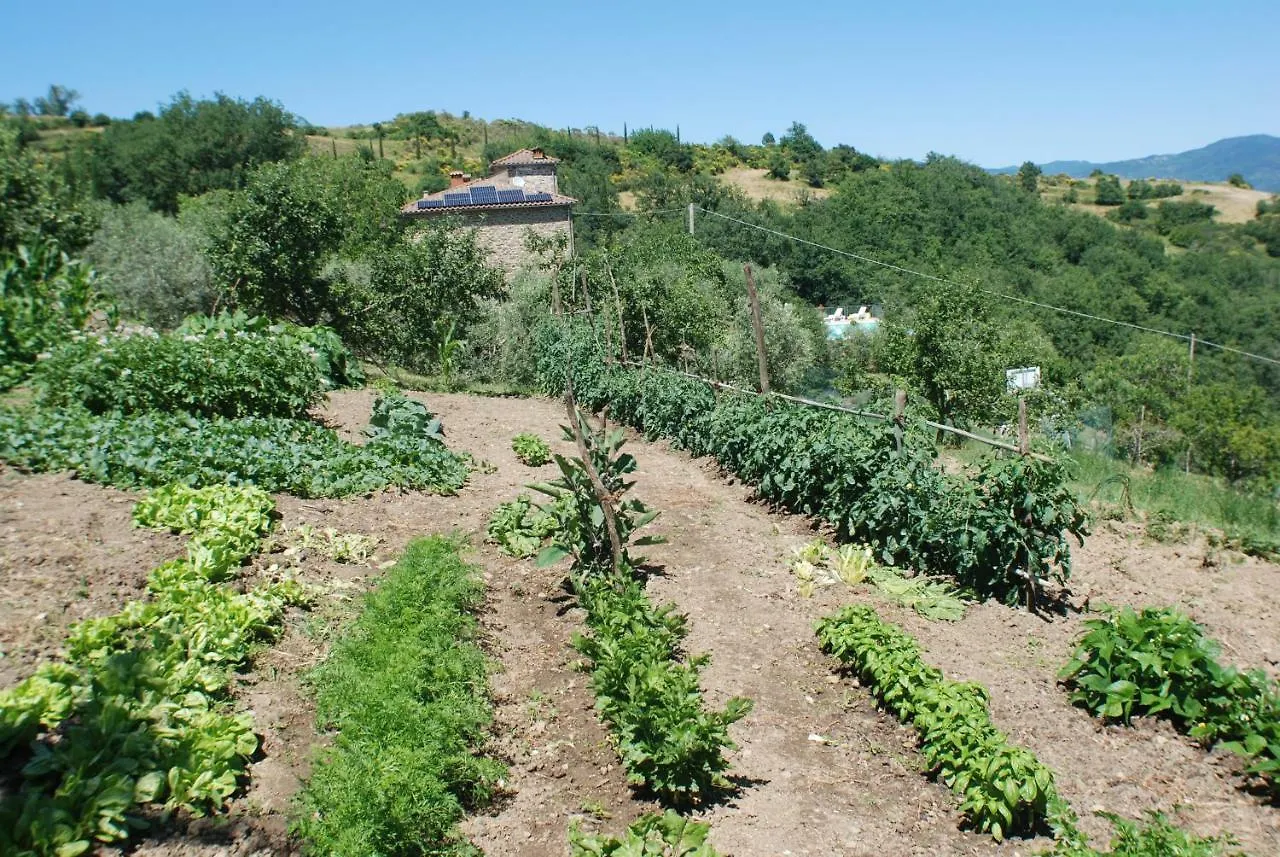 Holiday home Casa Fantone Villa Poppi
